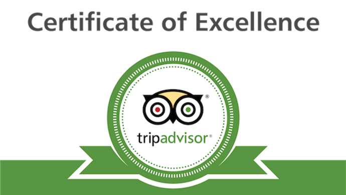 TripAdvisor